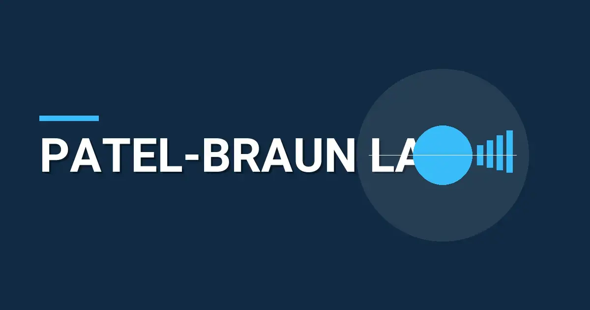 Patel-Braun Law: A Comprehensive Overview of Excellence in Legal Services
