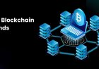 How Blockchain Trends in 2025 Will Transform Crypto Investing?