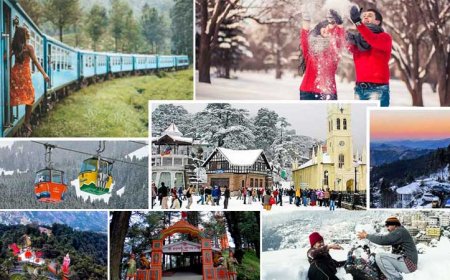 Shimla Manali Tour Package from Delhi: Romantic Honeymoon Awaits