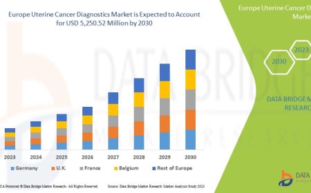 Europe Uterine Cancer Diagnostics Market Size, Share, Trends, Key Drivers, Growth Opportunities and Competitive Outlook
