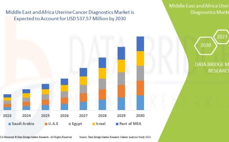 Middle East and Africa Uterine Cancer Diagnostics Market Size, Share, Trends, Demand, Growth and Competitive Outlook