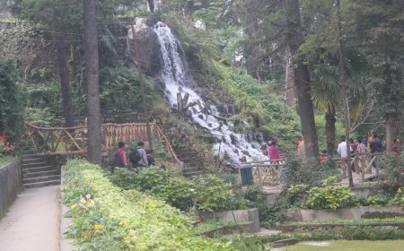 Company Garden: A Beautiful Escape into Nature’s Serenity