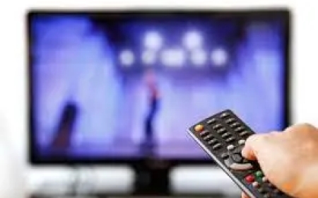 Discover the Ultimate Viewing Experience with Lemo TV