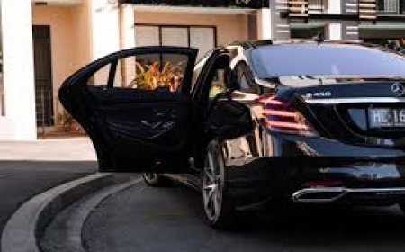 Meet the Hairy Coo: A Highland Delight