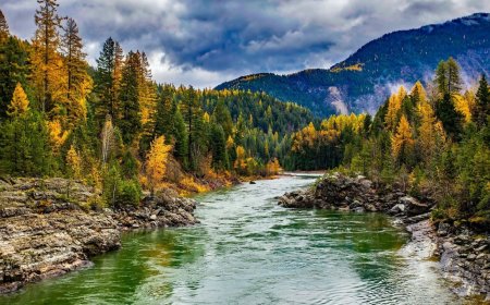 Best Kerala Tour Packages from Hyderabad | TripSpray