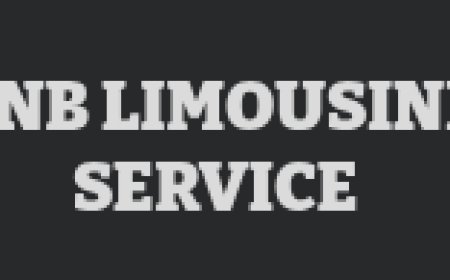 VIP Wedding Transportation for Your Special Day