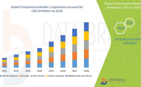 Prolactinoma Market : Size, Share, and Future Growth 2025 –2032