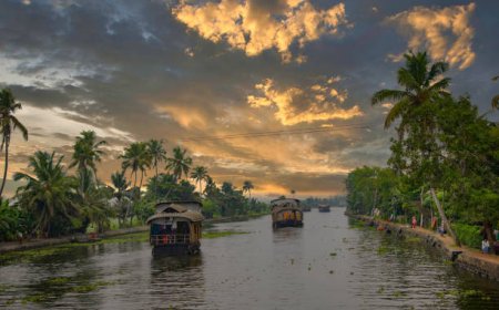 Explore Kerala in 6 Days: Best Tour Packages & Itinerary
