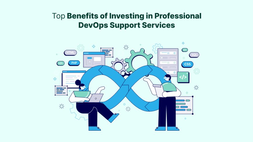 Top Benefits of Investing in Professional DevOps Support Services