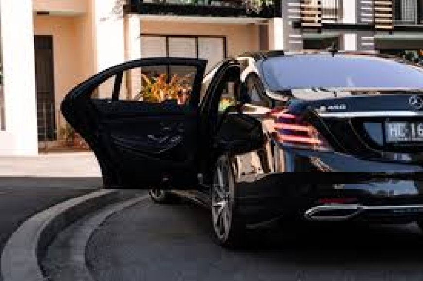 Meet the Hairy Coo: A Highland Delight