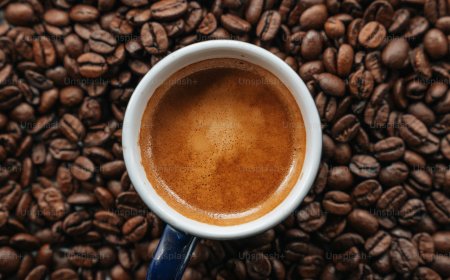 7 Brew Menu Breakdown: Why It’s More Than Just Coffee on the Go