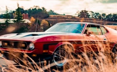 TopScraper: A Smarter Way to Harness the Internet’s Hidden Data