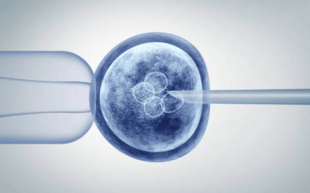 Understanding Stem Cells Therapy at Dynasty Clinic