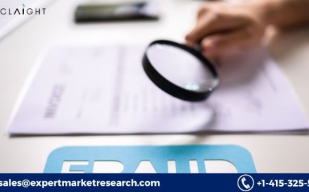 Fraud Detection and Prevention Market Size, Share & Growth 2025-2034