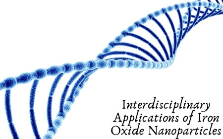 Electromagnetic Shielding with Multi-Walled Carbon Nanotubes: A New Era of Protection