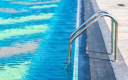 Aluminum Steps for Docks vs Dock Ladders What's the Best Choice for Easy and Long-Lasting Waterfront Access