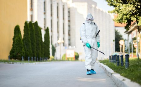 Pest Control Companies Termite Control in Loganville GA