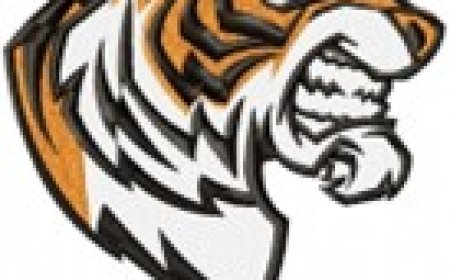 What Software Is Used to Create 3D Puffy Designs