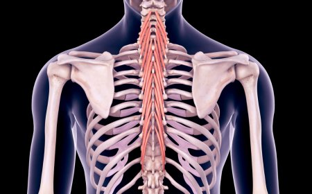 Orthopedic vs. Spine Surgeon: Who Should You See for Chronic Back Pain?