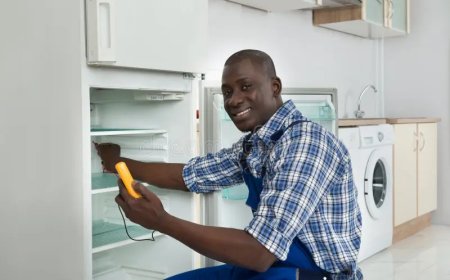 Toronto Experts for Kitchen Appliance Problems