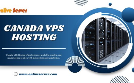Onlive Server Canada VPS Hosting: Tailored to Your Business Needs 