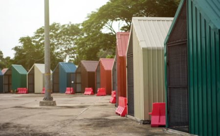 Inclusive Shelters As Hubs For Social Restoration