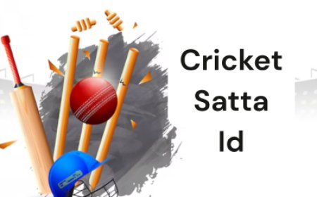 5 Best Online Cricket ID Providers