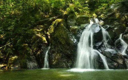 Discover the Enchanting Beauty of Neil Island in the Andaman Islands