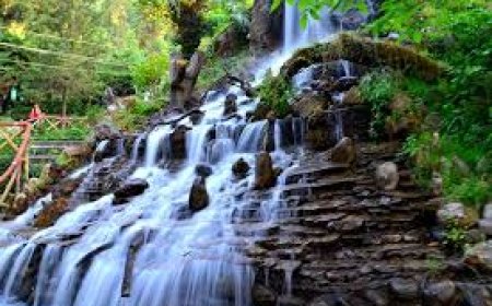 Explore the Queen of Hills with Comfort and Ease