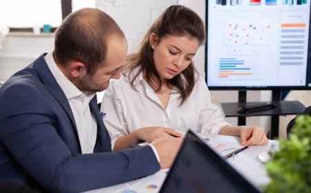 Essay Writing Tips for College and University Students