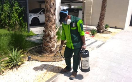 Trusted Pest Control Services for a Healthier Home Life