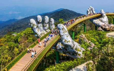 Experience Culture and Adventure with Vietnam Tour Packages