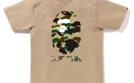 Everyday Essential T-Shirt