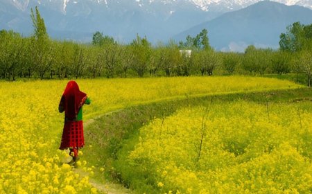 Spring Season In India