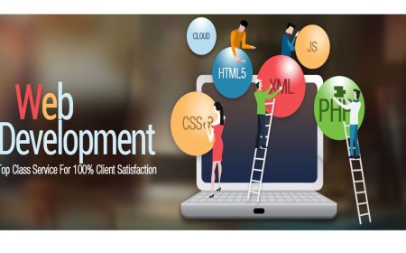 Professional Web Development Services in Pakistan