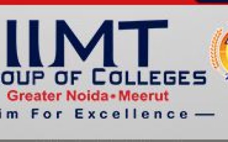 Top Engineering Colleges in UP: IIMT Group of Colleges Shining Bright