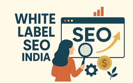 White Label SEO Company in India – The Growth Partner You’ve Been Searching For
