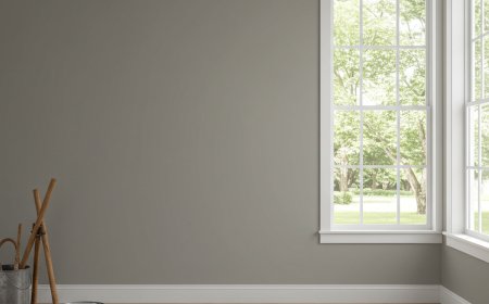 Agreeable Grey Sherwin Williams: Why This Timeless Neutral Works in Every Home