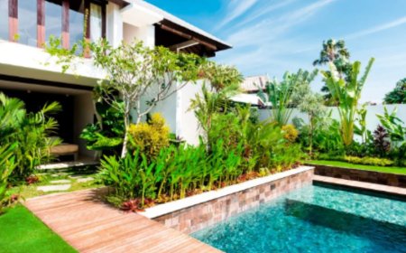 Complete Hassle-Free Cleaning Support in Ibiza | ALIA Management Ibiza