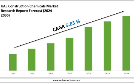 2024–2030 UAE Construction Chemicals Market Landscape: Growth, Share & Opportunities