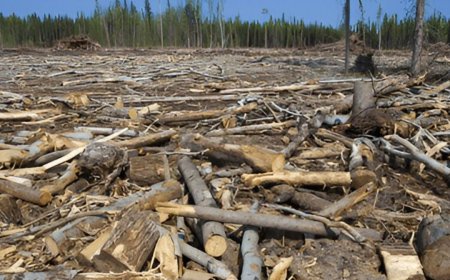 Causes Of Biodiversity Loss