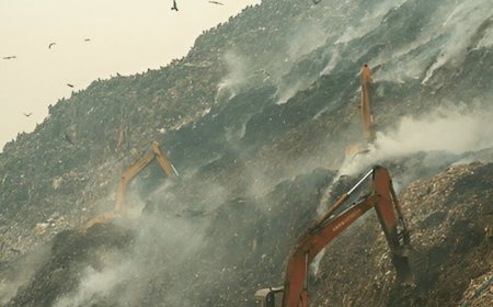 Recent Environmental Issues In India