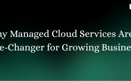Why Managed Cloud Services Are a Game-Changer for Growing Businesses