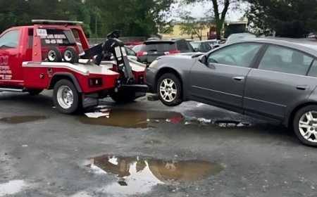 From Roadworthy to Recycled: The Hidden Afterlife of Old Cars