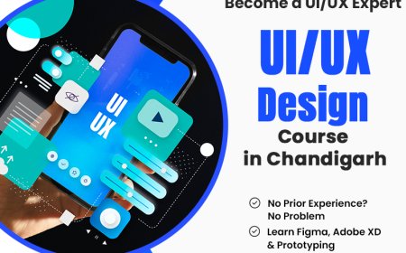 Mastering Digital Experiences: A Guide to Learning UI/UX Design