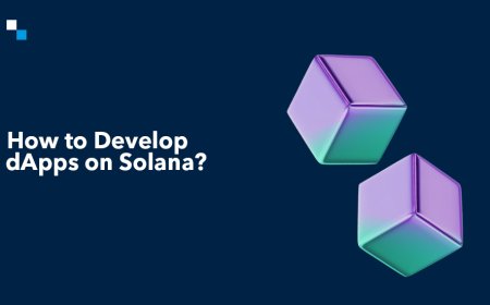 Solana Dapps Development 2025: Beginner’s Guide to Web3