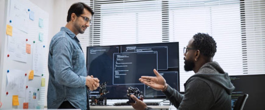 Freelancer vs Dedicated WordPress Developer: What's Best for Project?