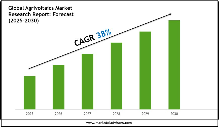 Agrivoltaics Market Outlook 2030 Trends, Growth & Demand