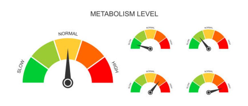 Boost Your Metabolism Fast with These 7 Easy Tips