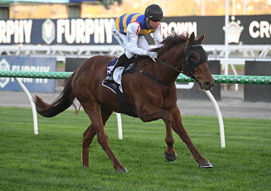 Mastering the Art of Race Day: Uncovering the Best Flemington Best Bets